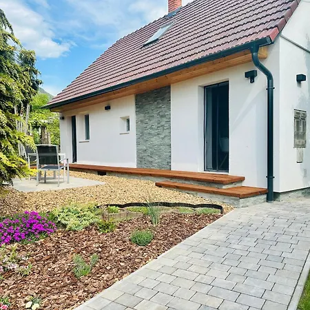 Bamboo Badacsonytördemic